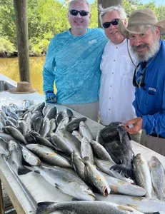 Beat the Heat for St. Bernard's Summer Trout